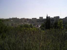 cityview