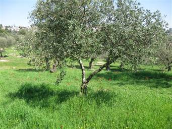 IMG_7776.jpg